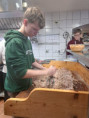 /album/klub-tradicni-zabijacka-10-2-2026/20260210-143528-jpg/